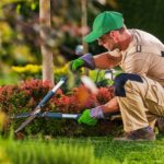 Garden and Landscaping